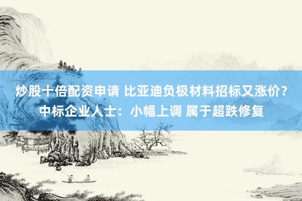 炒股十倍配资申请 比亚迪负极材料招标又涨价？中标企业人士：小幅上调 属于超跌修复