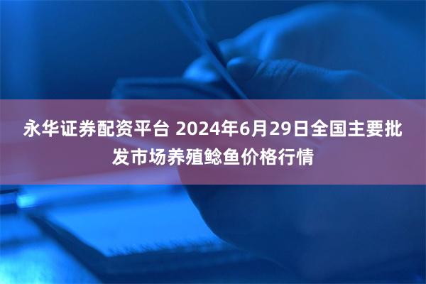 永华证券配资平台 2024年6月29日全国主要批发市场养殖鲶鱼价格行情