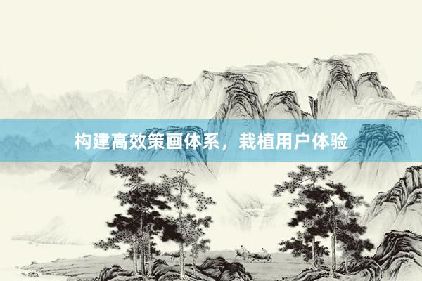构建高效策画体系，栽植用户体验