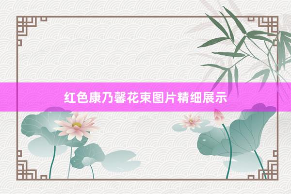 红色康乃馨花束图片精细展示
