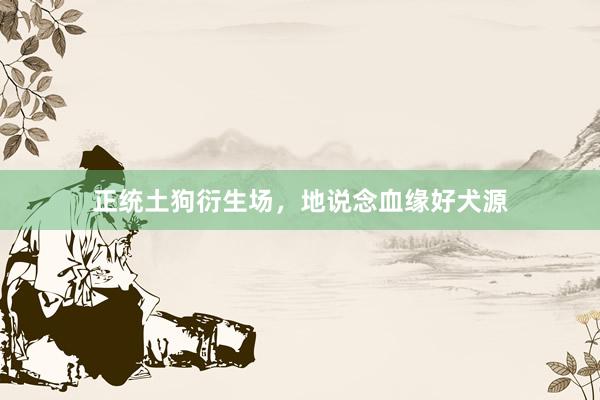 正统土狗衍生场,地说念血缘好犬源