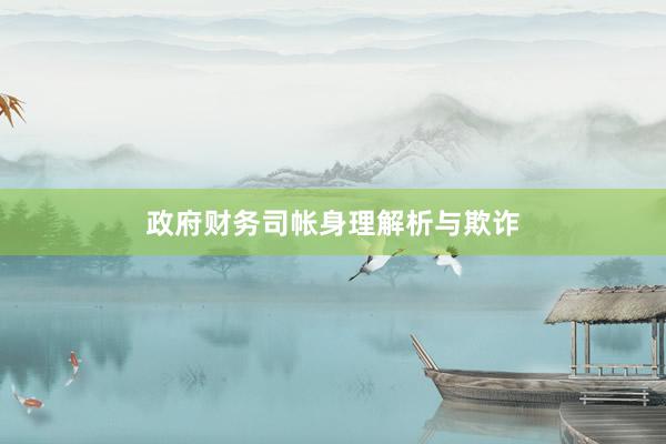 政府财务司帐身理解析与欺诈