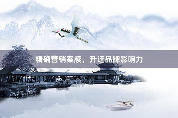 精确营销案牍，升迁品牌影响力