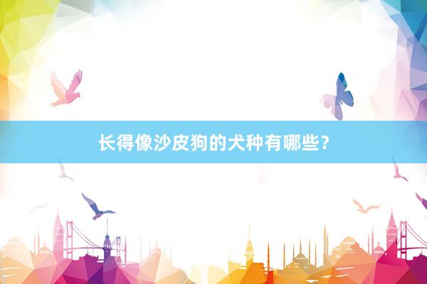 长得像沙皮狗的犬种有哪些？